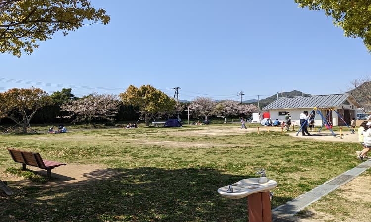 公園内の広場